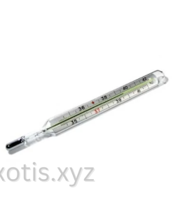 Mercury Thermometer