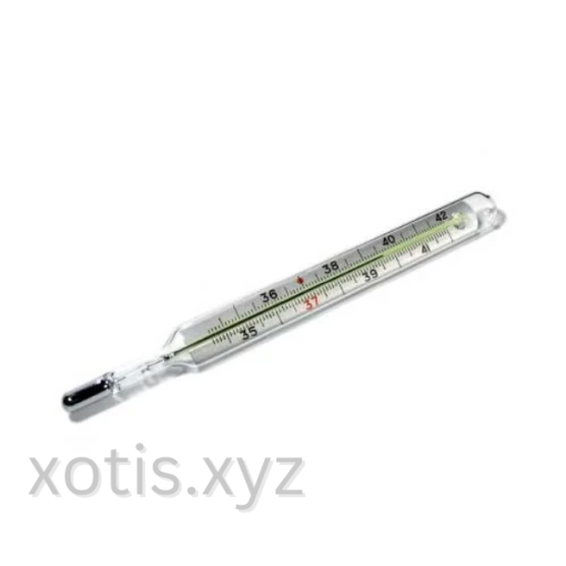 Mercury Thermometer